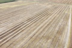 dji_fly_20230930_142548_451_1696111743564_photo_optimized