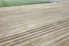 dji_fly_20230930_142604_452_1696111749336_photo_optimized