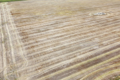 dji_fly_20230930_142942_462_1696111794565_photo_optimized