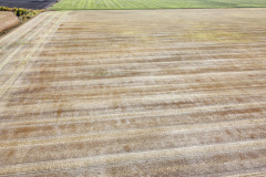 dji_fly_20230930_143248_467_1696111816847_photo_optimized