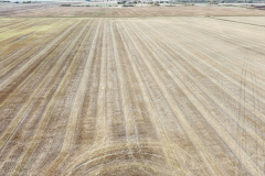 dji_fly_20230930_143412_469_1696111825614_photo_optimized