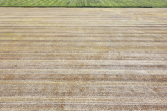 dji_fly_20230930_143512_473_1696111847606_photo_optimized