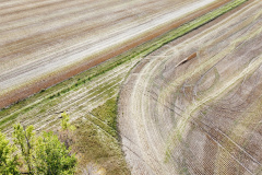 dji_fly_20230930_151542_535_1696112138224_photo_optimized