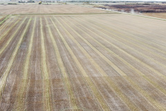 dji_fly_20230930_151556_536_1696112143974_photo_optimized