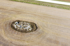 dji_fly_20230930_151740_540_1696112161423_photo_optimized